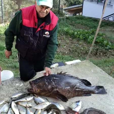 The 3 Brothers Konukevi